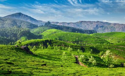 Kerala Tour Packages for Family