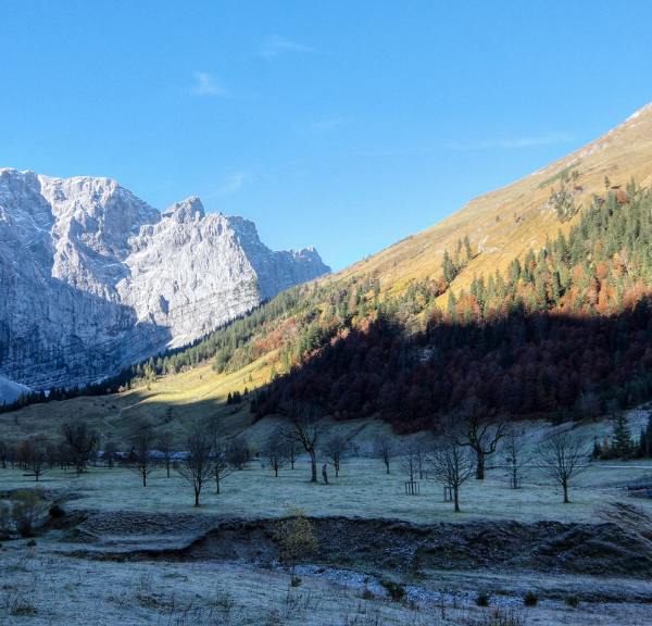 Untitled design (11)