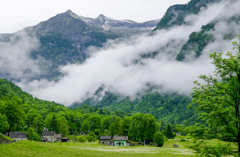 Top Winter Destinations in India to Visit This December