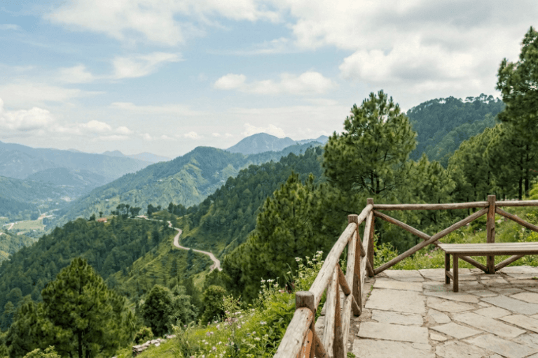 Best Places to Visit in India in May for Summer Vacation