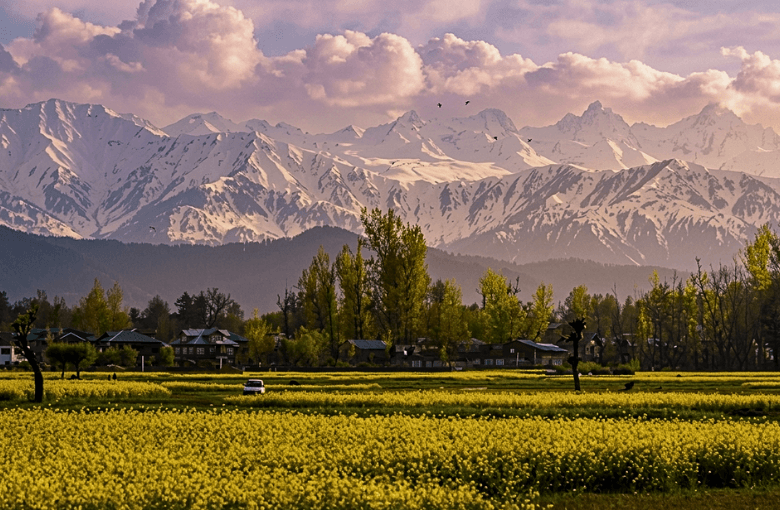 Why Kashmir in May Is the Most Popular Summer Destination