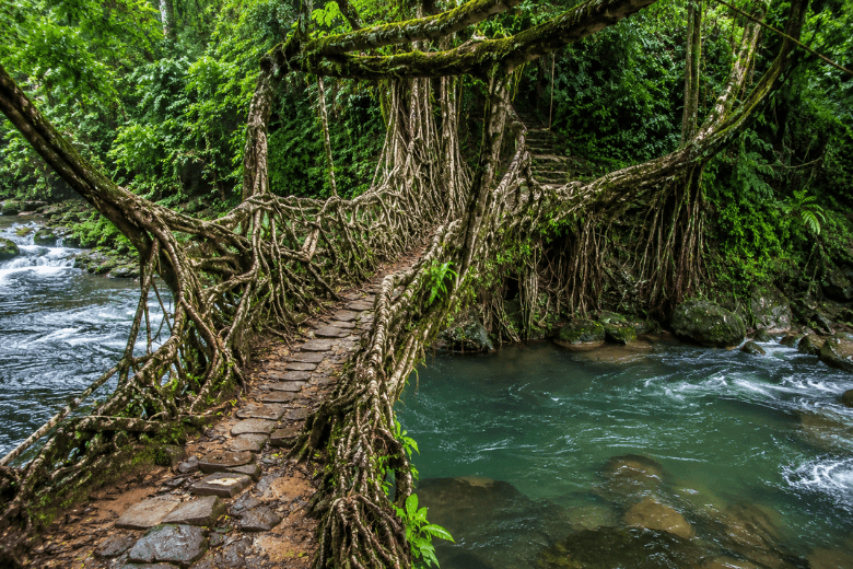 Meghalaya in Monsoon