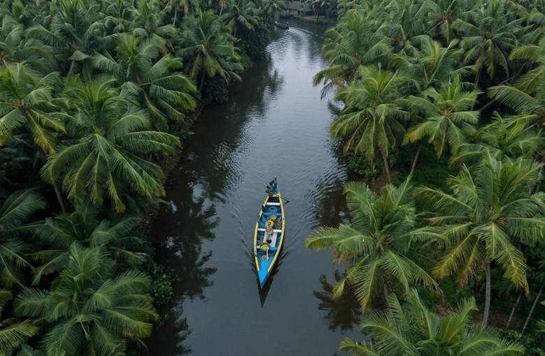 Kerala in Monsoon: Backwaters, Ayurveda & the Best of Munnar and Alleppey